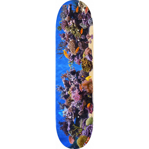 Deck MINI LOGO FISH TANK 8"