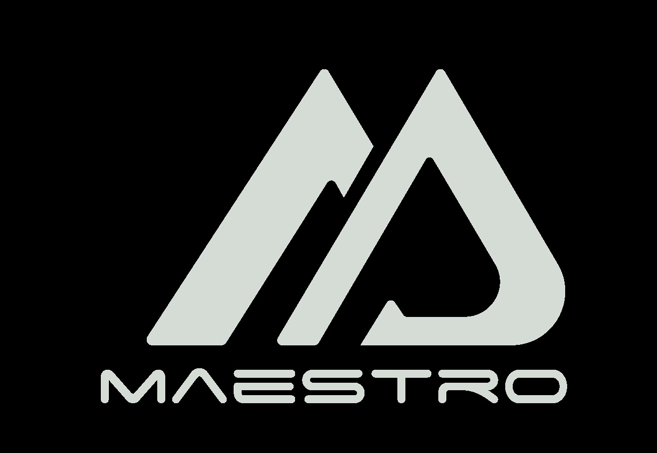 Bota de Carrera Maestro de Skating Star - Imagen 4