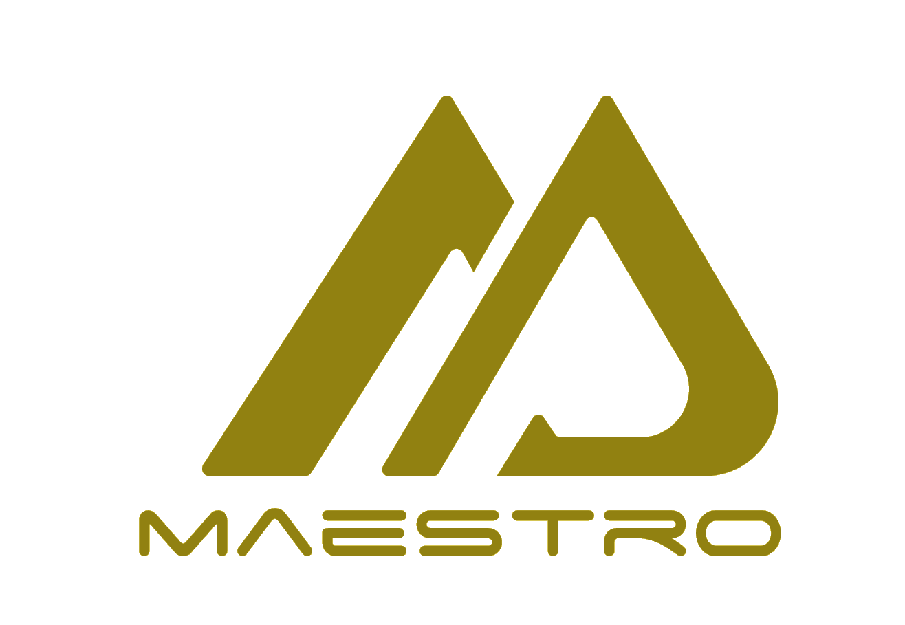 Bota de Carrera Maestro de Skating Star - Imagen 6