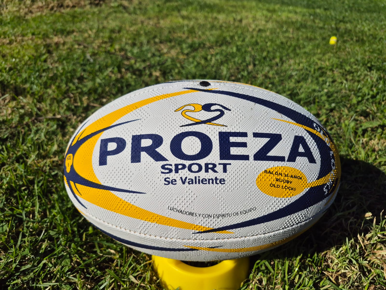 Balón rugby talla 5, Old Locks, conmemoración 25 años del club. - Imagen 3