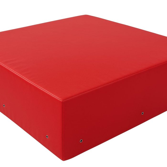 Colchonetas 100x50x5